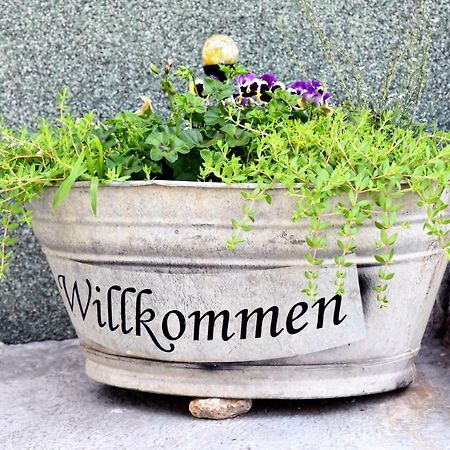 Am Gutspark Alt Tucheband Exteriör bild