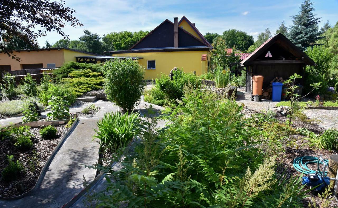 Am Gutspark Alt Tucheband Exteriör bild