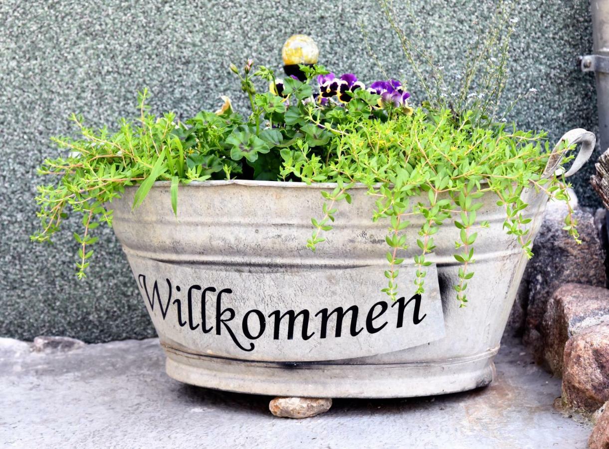Am Gutspark Alt Tucheband Exteriör bild