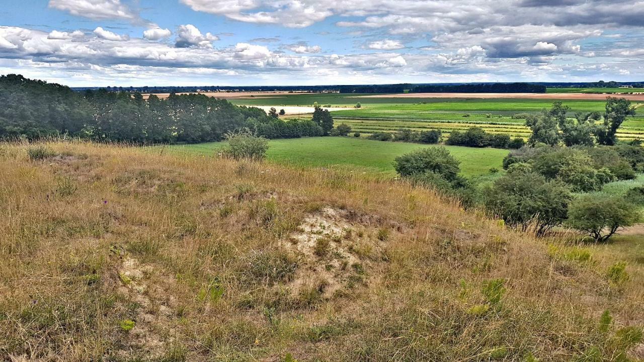 Am Gutspark Alt Tucheband Exteriör bild